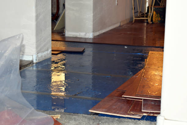 Professional Storm Water Damage Restoration technician working in Fayville, MA